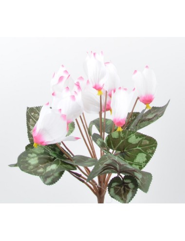 PIQUET DE CYCLAMEN 9 FLEURS...