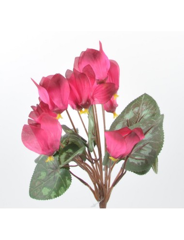 PIQUET DE CYCLAMEN 9 FLEURS...