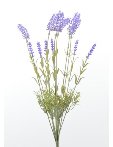 BOUQUET DE LAVENDE X11