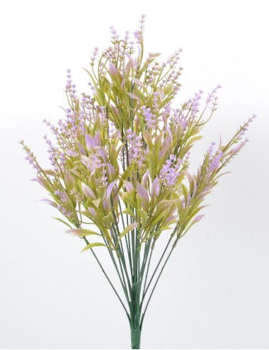 PIQUET ASTILBE PURPLE