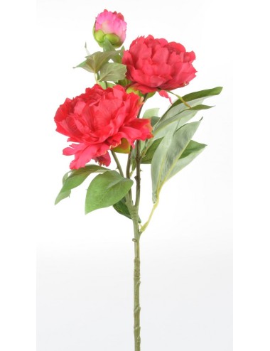 BRANCHE DE PIVOINE 3 FLEURS ASSORTIES