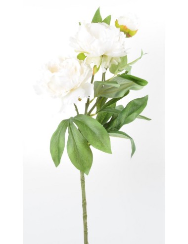 BRANCHE DE PIVOINE 3 FLEURS CREAM