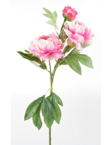 BRANCHE DE PIVOINE 3 FLEURS PINK