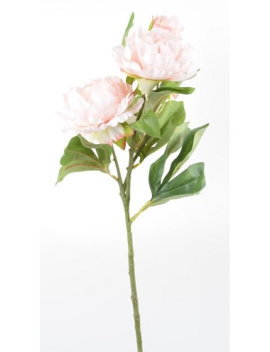 BRANCHE DE PIVOINE 3 FLEURS SALMON