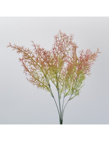 PIQUET ASPARAGUS PINK