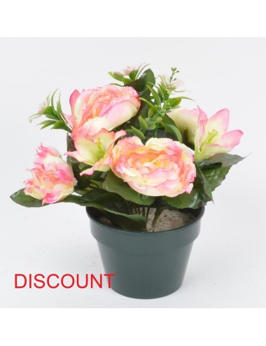 POT 14 CM PIVOINE LYS ASS