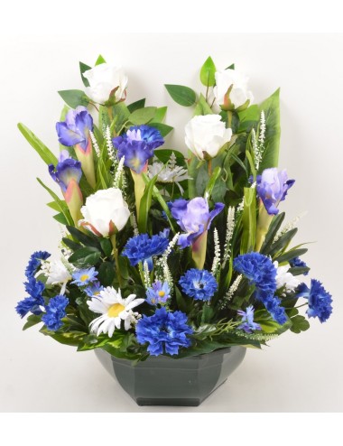 OCEA 32 CM IRIS ROSE BLEUET...