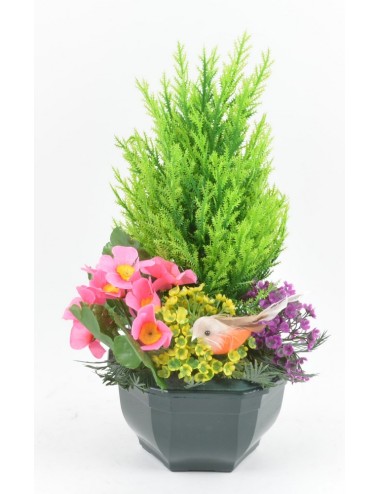 OCEA 15 CM PLANTES ASSORTIES