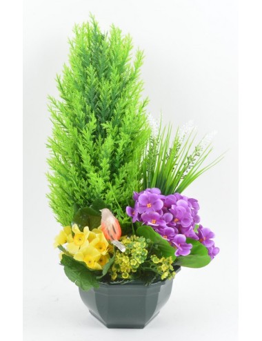 OCEA 17 CM PLANTES ASSORTIES