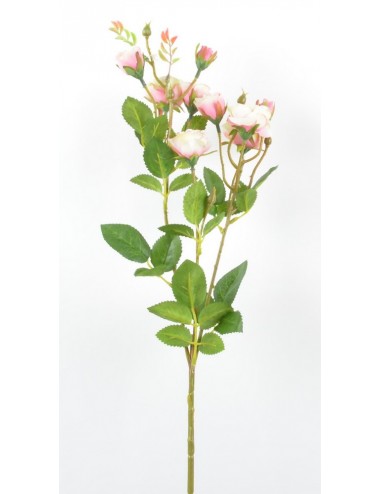 BRANCHE DE MINI ROSE BOUTON ASS