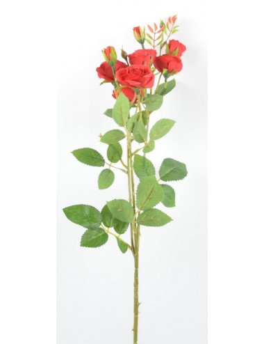 BRANCHE DE MINI ROSE BOUTON...
