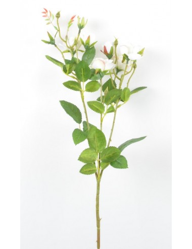 BRANCHE DE MINI ROSE BOUTON...