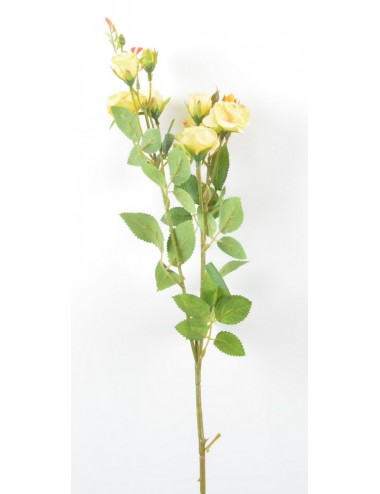 BRANCHE DE MINI ROSE BOUTON...