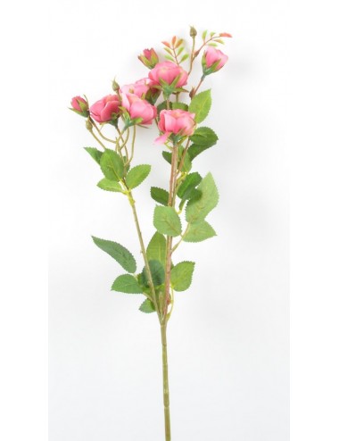 BRANCHE DE MINI ROSE BOUTON...
