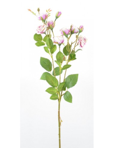 BRANCHE DE MINI ROSE BOUTON...