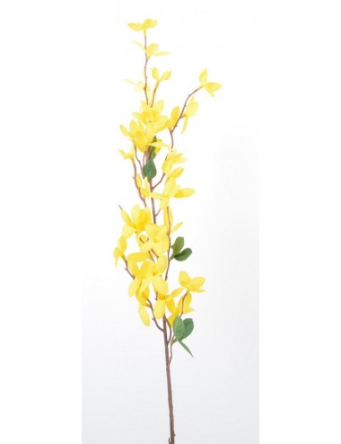 BRANCHE DE FORSYTHIA X1