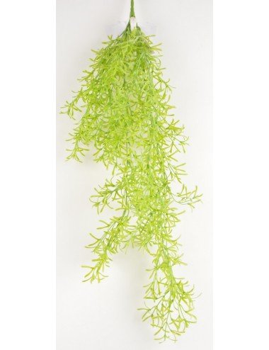 CHUTE DE SPRINGERIS GREEN