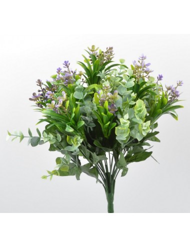 PIQUET BUIS EUCALYPTUS FLEURI X 20 PURPLE