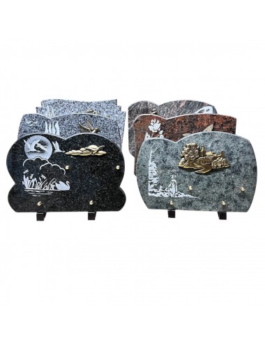 SERIE DE 6 PLAQUES 30 X 20...