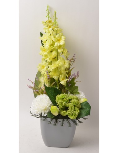 POT KWADRAT DELPHINIUM WILD BERRY BOUTON GREEN WHITE