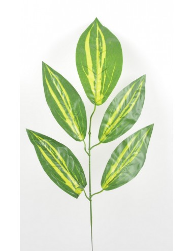 FEUILLE DE MANGUIER GREEN/YELLOW