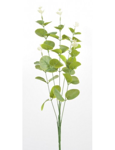 BRANCHE EUCALYPTUS X5 GREEN