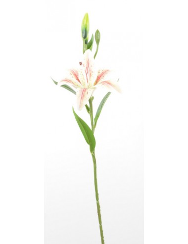 BRANCHE DE LYS PINK