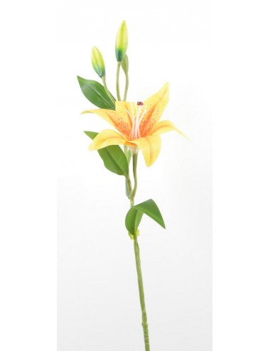 BRANCHE DE LYS YELLOW