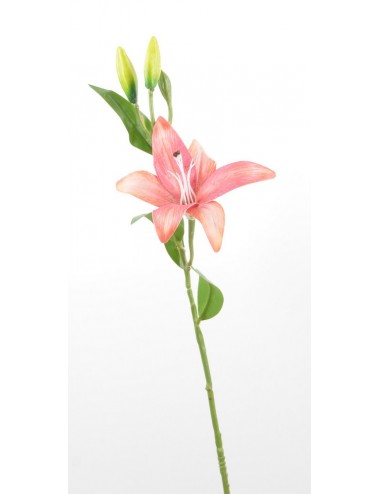 BRANCHE DE LYS BEAUTY