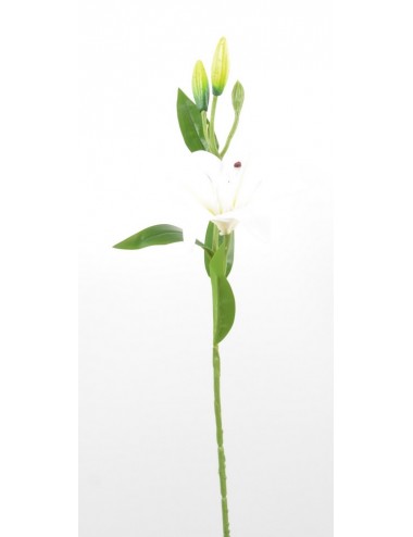 BRANCHE DE LYS CREAM