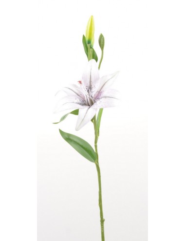 BRANCHE DE LYS CREAM LILAC