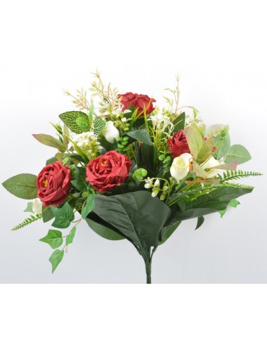 PIQUET CAMELIA JASMIN X24 RED