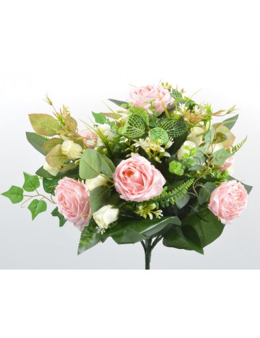 PIQUET CAMELIA JASMIN X24 SALMON