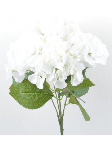 PIQUET HORTENSIA X5 WHITE