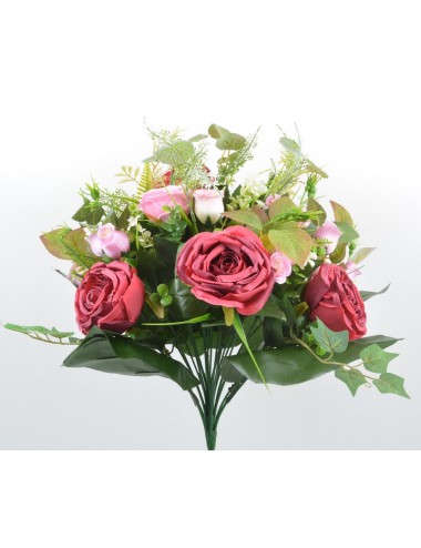copy of PIQUET ROSE ANGLAISE GRAMINE X24 BEAUTY