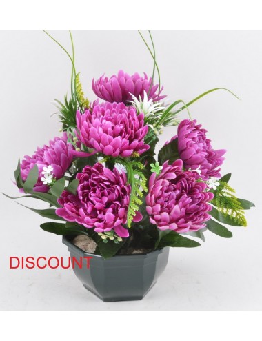 OCEA 17 CM DISCOUNT CHRYSANTHEME DALHIA ASS