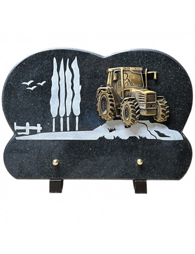 PLAQUE 30 X 20 CHANTS SCIES...