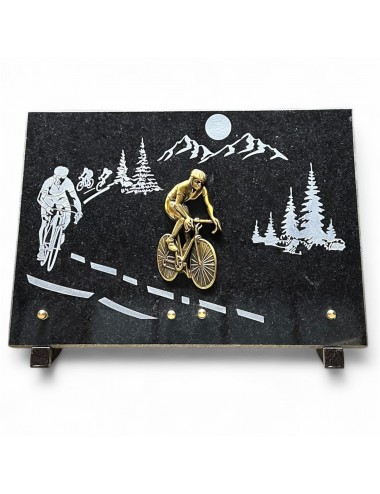 PLAQUE 35X25 CHANTS SCIES +...