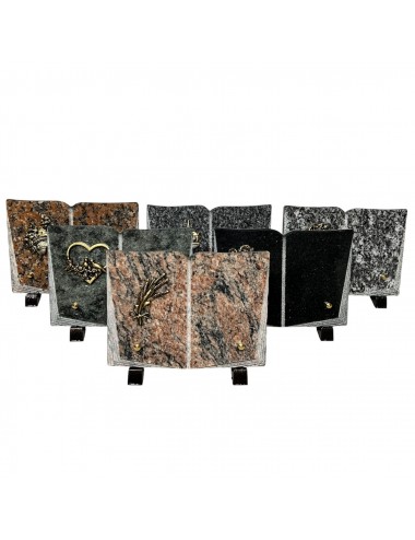 SERIE DE 6 LIVRES GALBES...