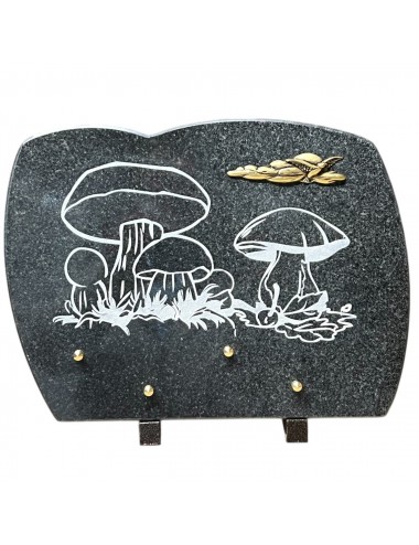 PLAQUE 35 X 25 CHANTS POLIS...