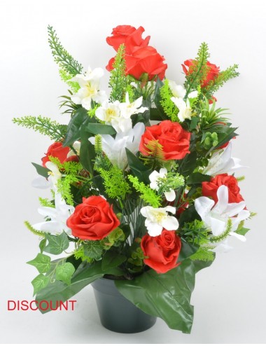 POT 16 CM DISCOUNT CACTEE ASTILBE ROSE LYS - COLORI ASSORTI