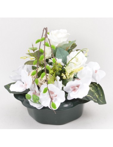 COUPE MARGUERITE ORCHIDEE...