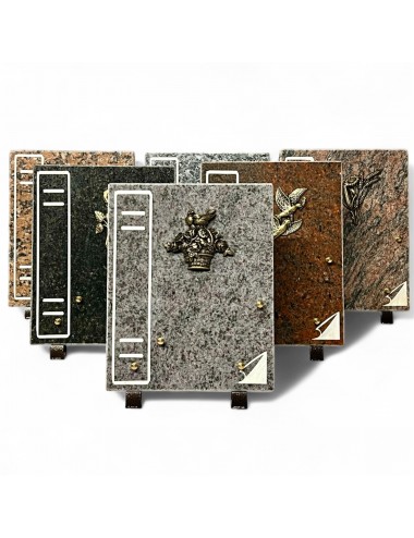 SERIE DE 6 PLAQUES 20 X 25...