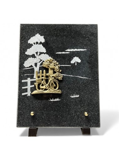 PLAQUE 20 X 25 - 1 INTER -...