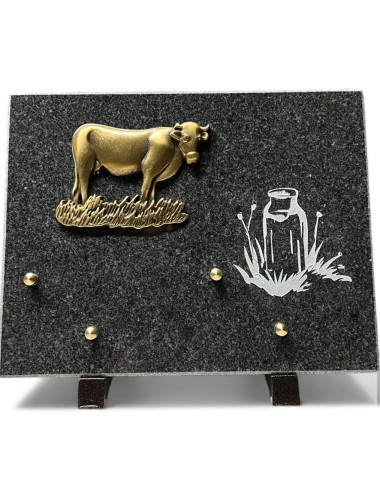 PLAQUE GRANIT 20 X 25 - 2...