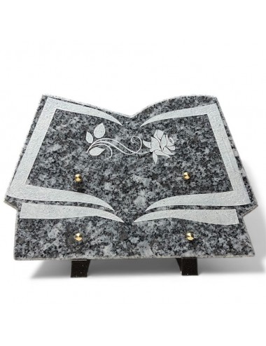 LIVRE GRANIT 30 X 20 - 2...