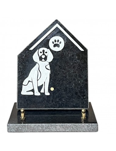 PLAQUE GRANIT CHANTS SCIES...