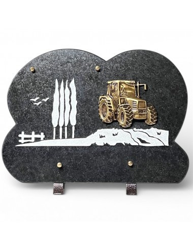 PLAQUE 30 X 20 CHANTS SCIES...