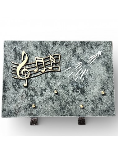 PLAQUE 30 X 20 CHANTS SCIES...