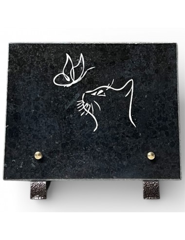 PLAQUE GRANIT CHANTS SCIES...